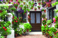 Cordoba